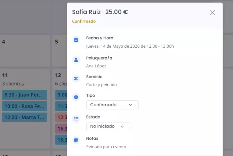 resumen de la cita del cliente